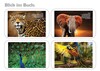 498764_112407_blick_ins_buch